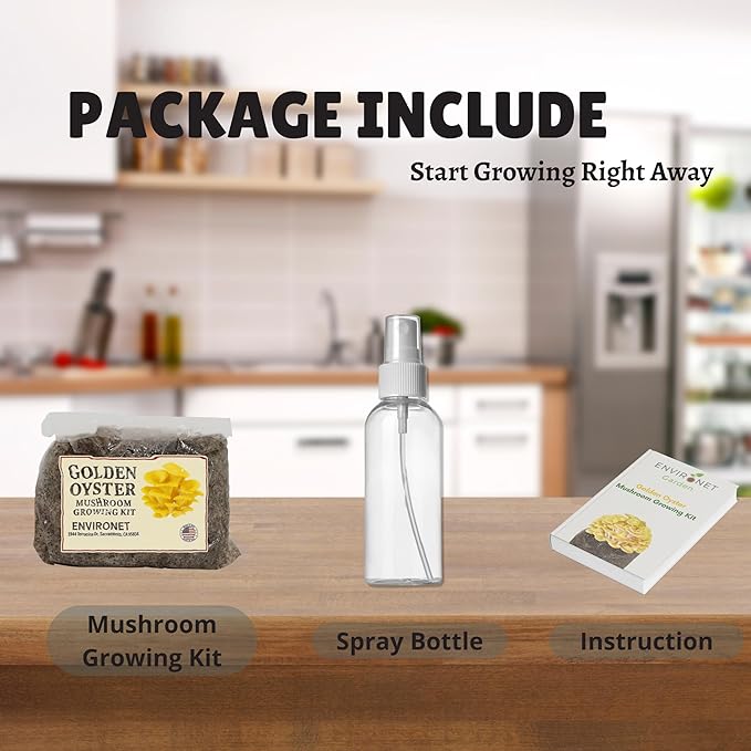Golden Oyster Mushroom Growing Kit, Starter-Friendly & Fast Harvest Mushrooms Growing Kit, Handmade in USA, Great Gift