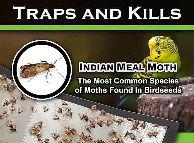 MaxGuard Birdseed Pantry Moth Traps (10 XL Pack) Extra Strength Pheromones | Non-Toxic Extra Large Sticky Glue Trap for Bird Seed Storage Areas | Attract, Trap and Kill Moths