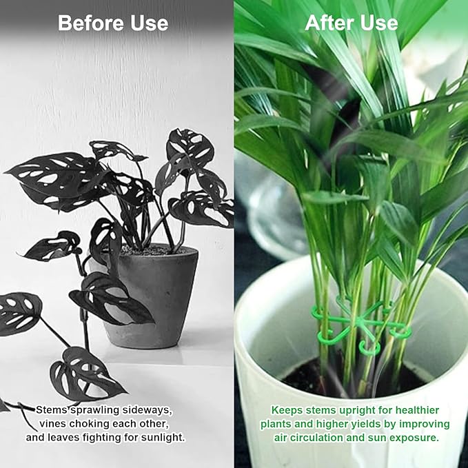 6pcs Climbing Houseplant Stem Supports,Plant stem Support Indoor Outdoor Use,Stem Hook Growth Accessories for Plant Garden, Promotes Upright Growth and Airflow(Green)