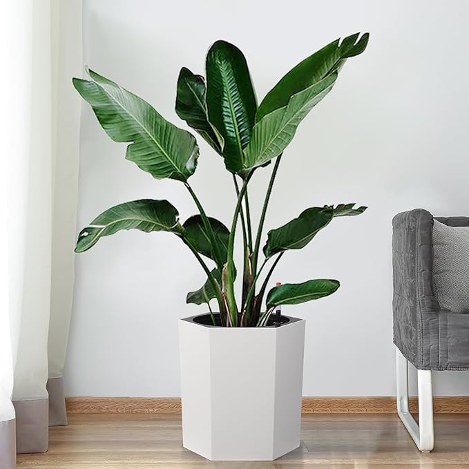 Hexagon Flower Pot, Self-Watering Planter with Water Level Monitoring, Bottom Wheels and Water Outlet, Outdoor & Intdoor Planter Box for Garden, Patio, Balcony, Lounge, White