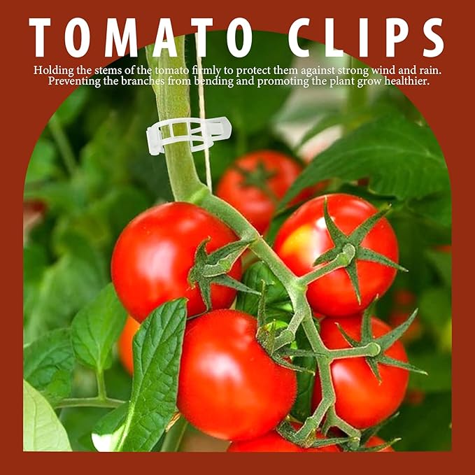 FANDAMEI 300 PCS Plant Support Clips, Plastic Garden Plant Ties, Tomato Clips Trellis for Tomato Cucumber Flower Squash Vine, 1” Inner Diameter for Climbing Plants