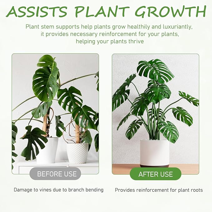4-Pack Plant Stem Support, Plant Stabilizer for Indoor Plants, Monstera Plant Support System, Plant Stem Holder for Fixing Green Plants and Vines (A+B)