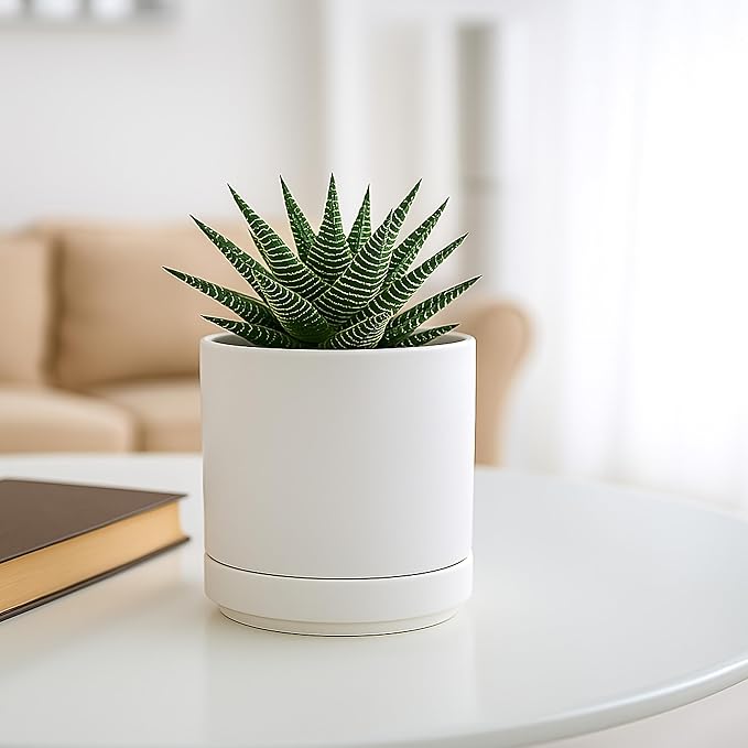 D'vine Dev 4.7 Inch Ceramic Planter Pot with Drainage Hole and Saucer, Indoor Cylinder Round Planter Pot, White, 94-O-B-1