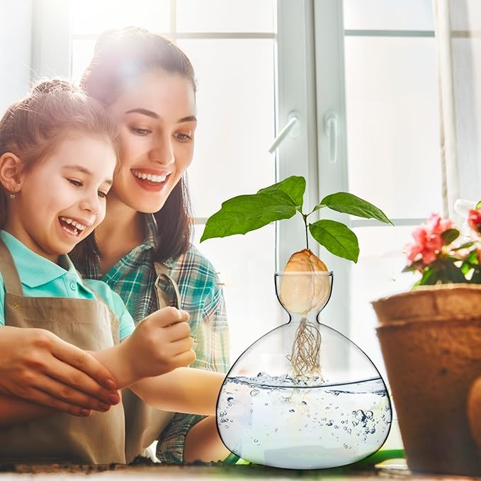 QWORK Avocado Seed Starter Vase, 2 Pack Glass Avocado Seed Growing Vase -Avocado Seed Sprout Glass Container, Tapered Base Design, 36oz Capacity -for Hydroponics Plants Home Office Wedding Decoration