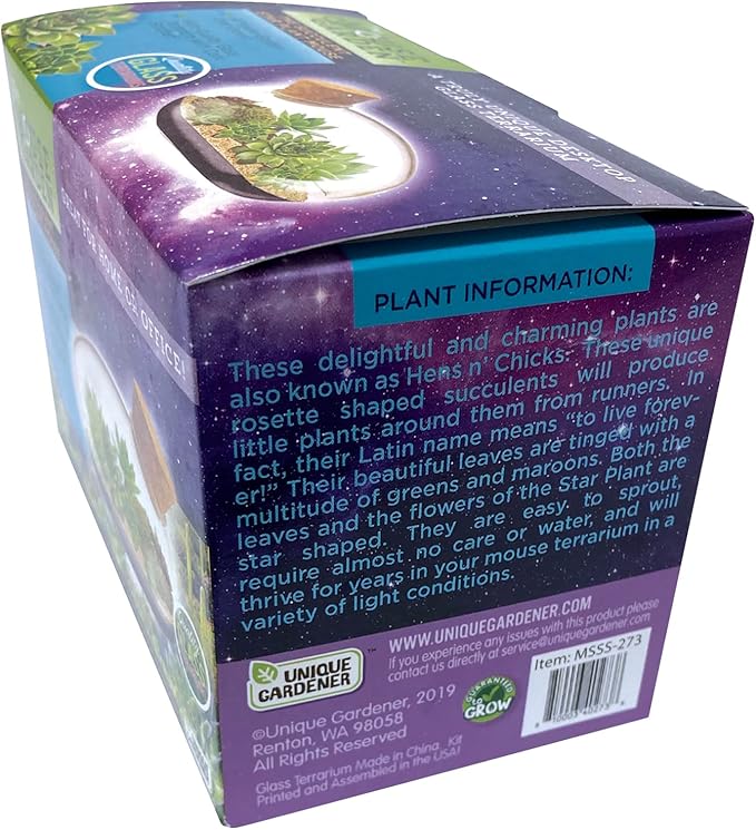 Grow Your Own Succulent Star Plant Mouse with Our Glass Terrarium Starter Kit - Fun and Easy to Grow with Complete Supplies - Plant A Mouse Garden That Will Last for Years - Great for Home Or Office