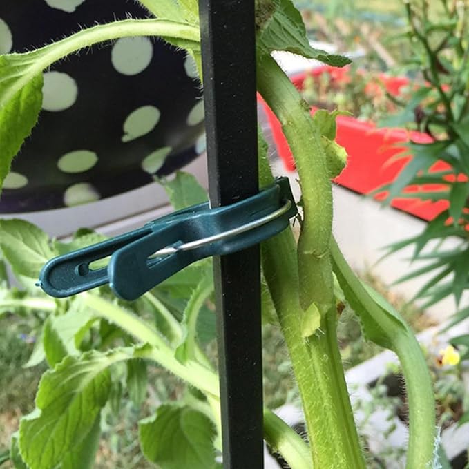 Plant Support Clips, 80 PCS Gentle Flower Plant Clamps for Supporting Vine Climbing Plants Plant Clips Garden Clips for Tomato Cage 2 Sizes in one Pack