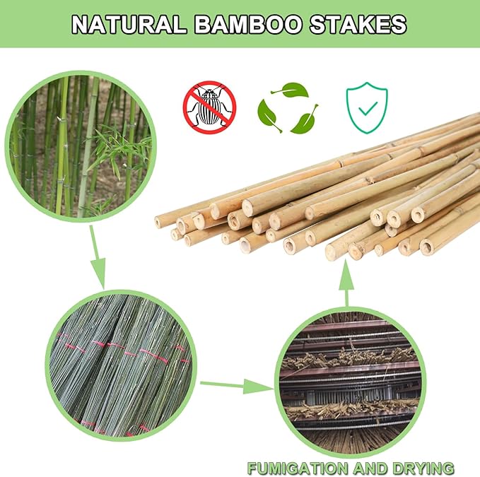 Bamboo Plant Stakes – 25pcs 4FT Natural Bamboo Garden Stakes for Tomatoes, Peppers, Beans, Indoor & Outdoor Plants, Sturdy Plant Support for Seedlings & Potted Plants
