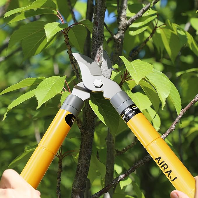 AIRAJ 16-24'' Extendable Loppers for Tree Trimming | Branch Cutter with 1.5“ Cutting Capacity | Loppers for Gardening | Garden Shears