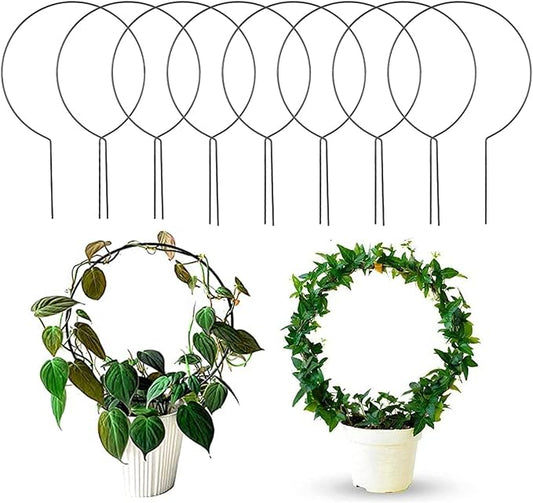Acrux7 10 Pcs Circle Trellis for Climbing Plants Indoor Small Trellis for Potted Plants Plant Trellis for Hoya Vines Topiary Frames