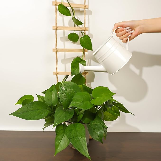 Chain Trellis for Climbing Plants Indoor – Natural Wood Ladder Style Plant Support for Vines, Ideal for Pothos & Ivy, Stylish Modern Design for Home & Garden Use, Indoor/Outdoor