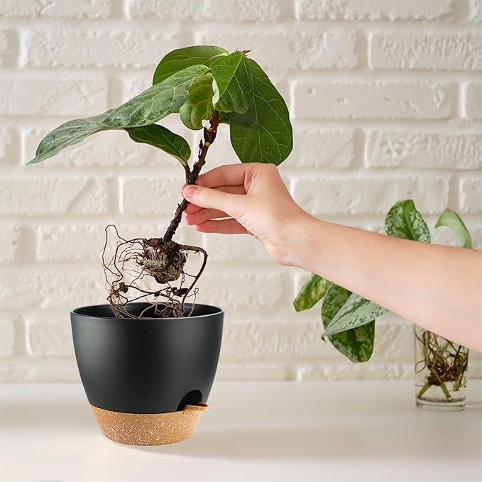 Self Watering Plants Pot with Drainage Hole, Flower Plants Pots for Indoor & Outdoor, Black Plastic Self Watering Planters Succulent Pot 5pcs/Set