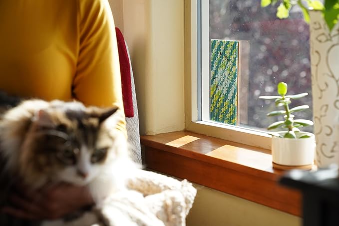 RESCUE! FlyPad – Sticky Fly Traps for Indoor & Outdoor Use - 2 Traps