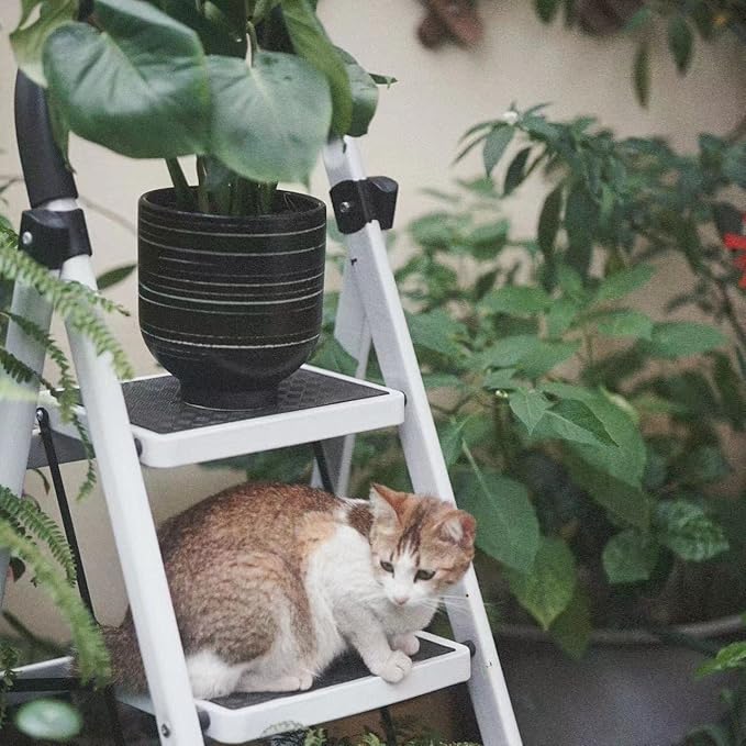 Ceramic Pots for Plants with Drainage Hole, Planters for Indoor Outdoor Plants, 6.7 Inch Flower Pots for Plants Cactus, Aloe Vera, Fern