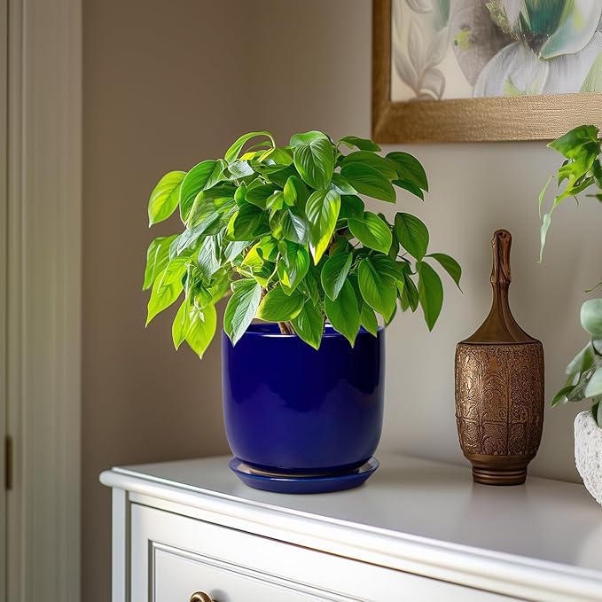 Ceramic Flower Pot 7 Inch - Cylinder 7 Inch Round Planter for Cactus Orchid Plants with Drainage Hole and Saucer, Home Office Room Desk Decor, Blue