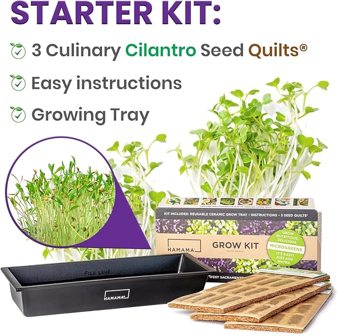 HAMAMA Home Microgreens Growing Kit - Cilantro Sprouts Growing Kit, Sprouting Kit - Grow Your Own Micro Greens Indoor, Micro Greens Starter Kit with Microgreens Tray, Microgreen Seeds【Cilantro Seeds】
