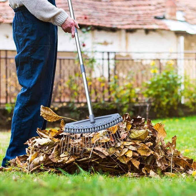 Colwelt Thatch Rake -24 Steel Tines, Dethatching Rakes with 54’’ Lightweight Stainless Steel Handle, Yard Dethatcher Rakes for Lawn(Pine Needles, Dead Grass, Thatch, Leaves, Mulch)