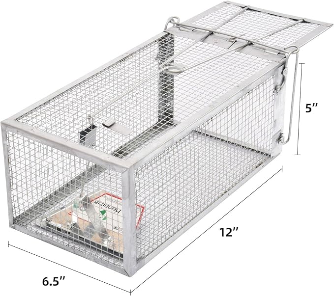 Kensizer Animal Humane Live Cage Trap That Work for Rat Mouse Chipmunk Mice Voles Hamsters and Other Small Rodents, Trampa para Ratones, Catch and Release 1Pack Medium 12" L x 6.5" W x 5" H
