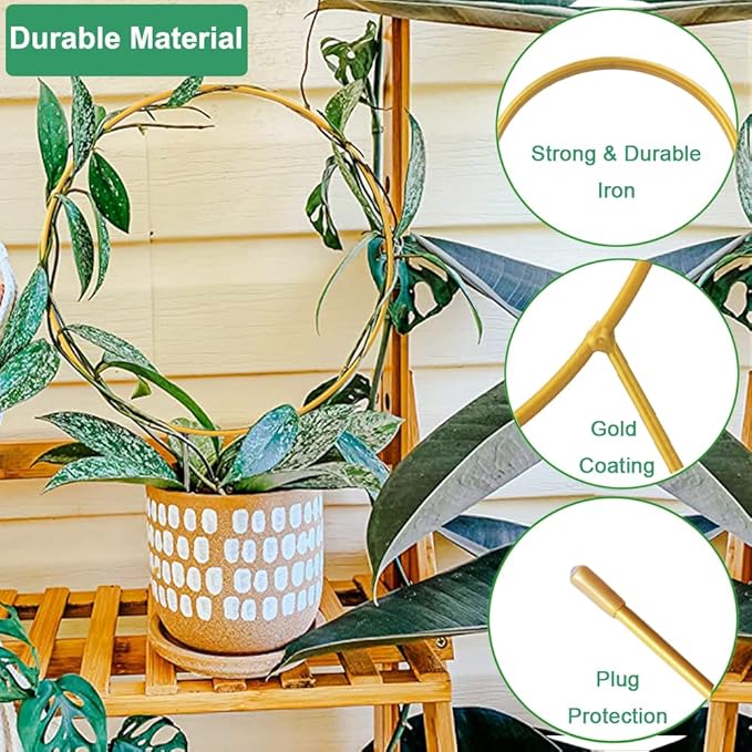 2 Pack Circle Trellis for Climbing Plants Indoor, 15" Gold Small Plant Support Stakes, Flower Houseplant Hoya Support for Potted Plants & Garden Stem Vines