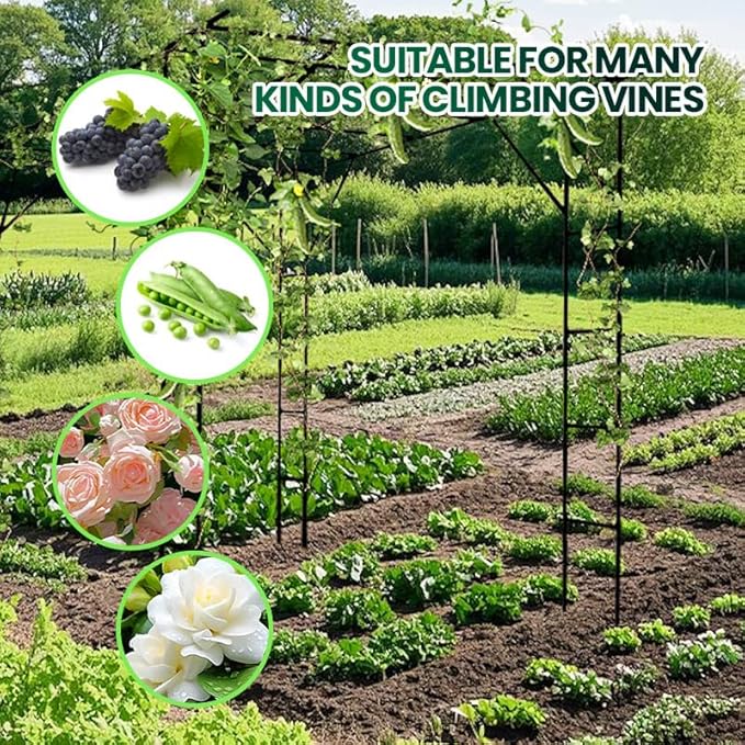 Grape Trellis for Grape Vines Outdoor Large Tall Support Arch Arbor Heavy Duty Garden Trellis for Climbing Plants, Raised Beds, Vineyard Arbors and Arches Courtyard and Decoration of Pavilions
