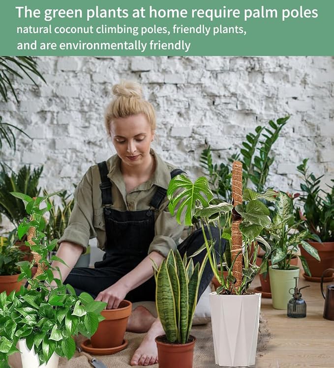 2 Pack 27.56'' Bendable Moss Pole Monstera Plant Support for Climbing Indoor Plants - Stakes for Potted Climbers - Tall Sticks Indoor Trellis for Houseplants - Accessories for Monstera Pot