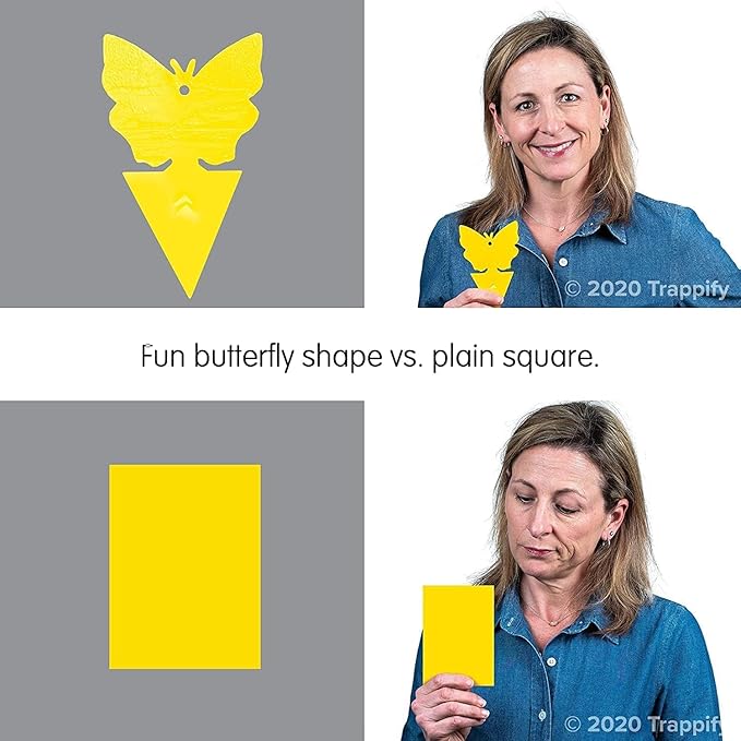 Trappify Sticky Gnat Traps for House Indoor - Yellow Fruit Fly Traps for Indoors|Outdoor Plants | Insect Catcher for White Flies, Mosquitos, Fungus Gnats | Disposable Glue Fly Trap Indoor (12 Pack)