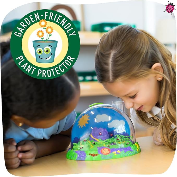 Insect Lore Live Ladybug Growing Kit - Ladybug Land Habitat with 10-15 Live Pink Spotted Ladybug Larvae - Raise, Observe and Release Ladybugs