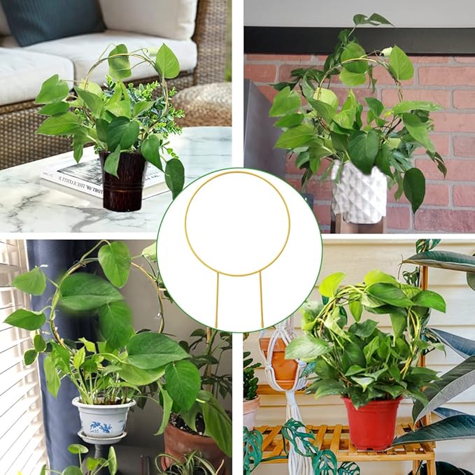 2 Pack Circle Trellis for Climbing Plants Indoor, 15" Gold Small Plant Support Stakes, Flower Houseplant Hoya Support for Potted Plants & Garden Stem Vines