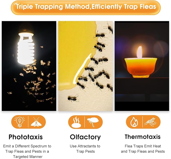 Flea Trap 2 Packs – Premium Flea Traps for Inside Your Home – Natural and Child-Friendly Light Trap for Indoor with Natural Glue Discs Refills and LED Lightbulb