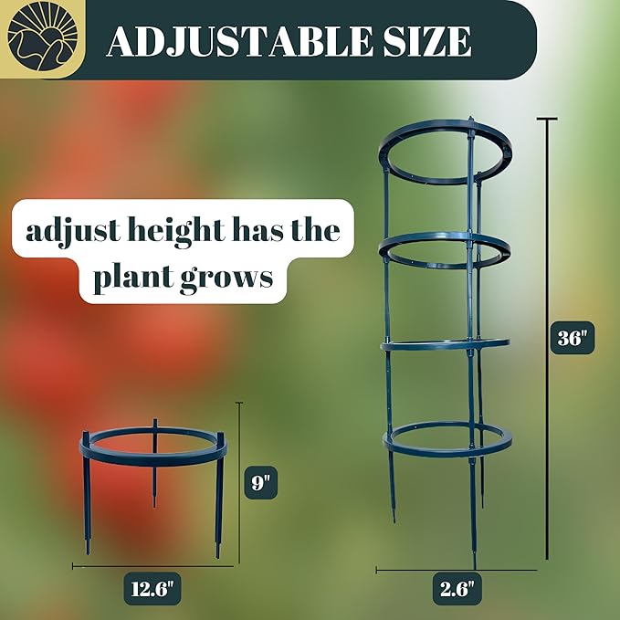 Small Tomato Cage for Pots Mini Tomato Cage Trellis 9'' Each 36'' in Total with Gloves