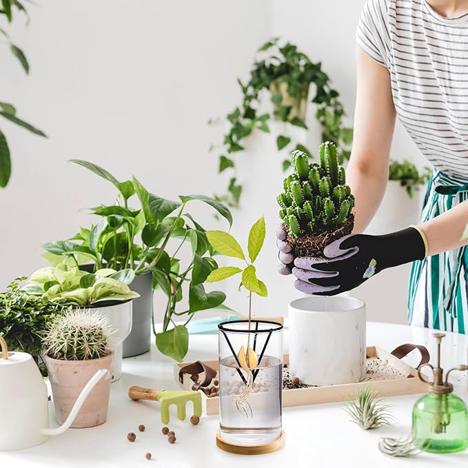 Lawei 3 Pack Avocado Tree Growing Kits, Glass Avocado Seed Starter Vase with Metal Triangle Bracket and Bamboo Base, Avocado Pit Sprouting Plant Pot Glass Bottle for Gardening Lovers Home Decor