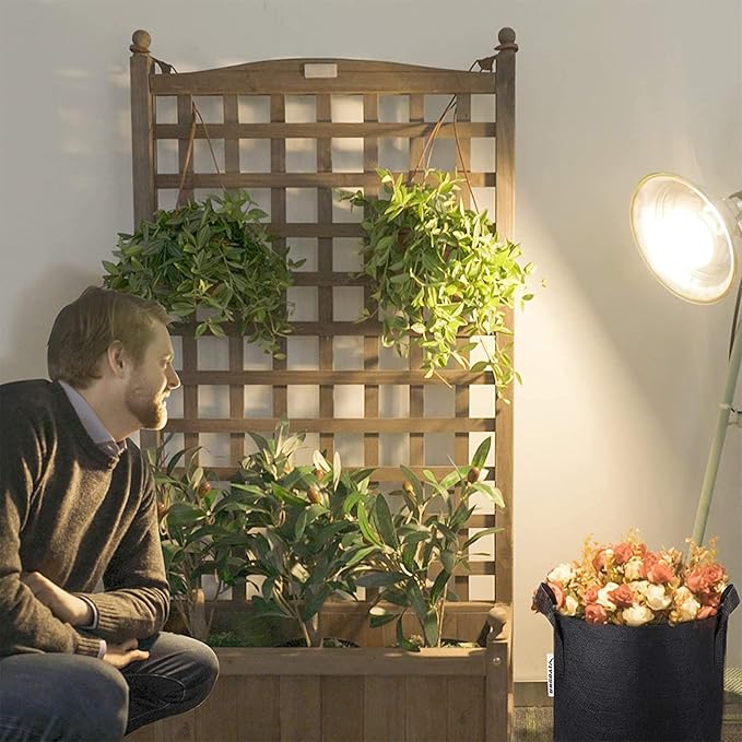 VIVOSUN 2-Pack Clamp Lamp Light with Detachable 5.5 Inch Aluminum Reflector up to 60W E26 Socket (No Bulb Included), 6 Feet Cord, UL Listed