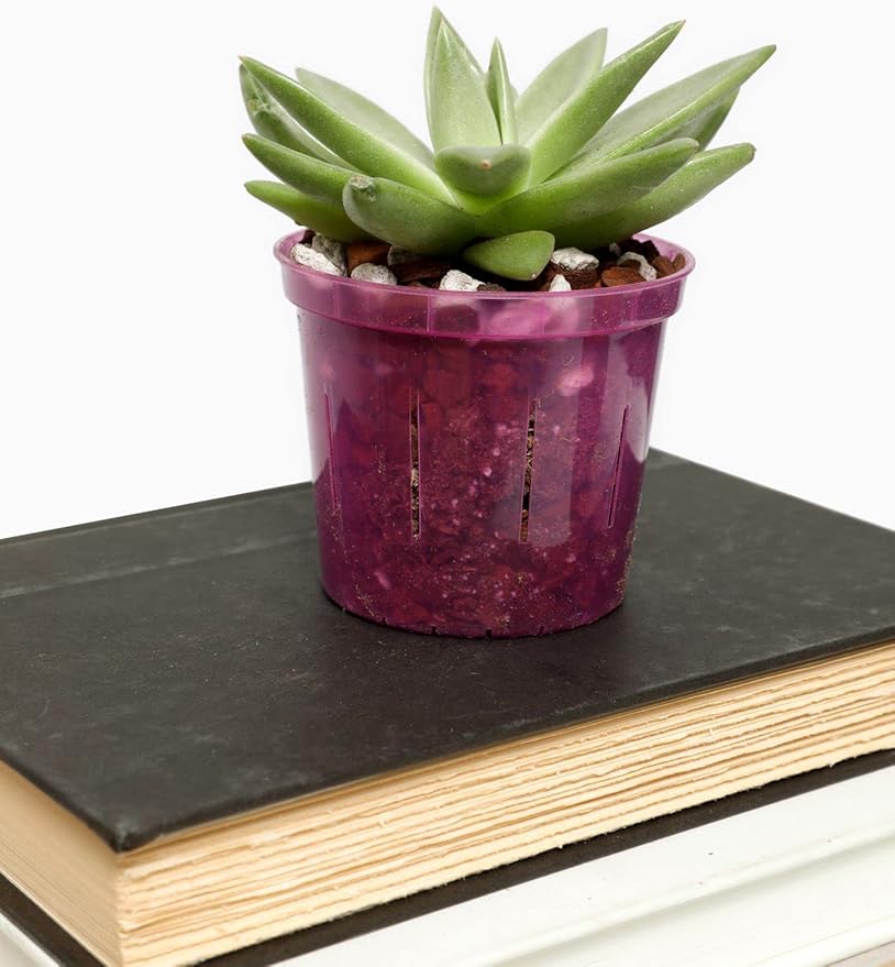 rePotme Cactus and Succulent Potting Soil Mix - Classic Blend (Junior Bag)