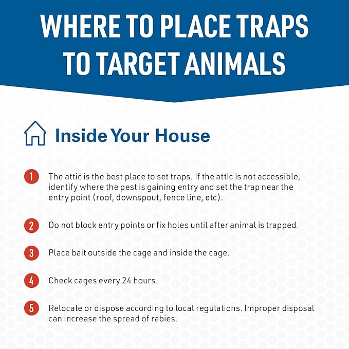 Answer Trap for Squirrels, Rabbits & Other Medium Pests – Humane Live Catch Trap – Durable and Easy-to-Use Rodent Control Solution