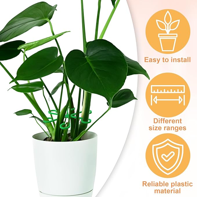 8PCS Plant Stem Support, 4 Sizes Climbing Houseplant Stem Holders, Plastic Reusable Flower Trellis Stem Hook Plant Care Growth Accessories for Flower Plants Indoor Outdoor - Black, Green