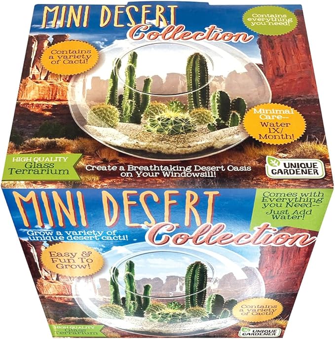 Cactus Succulent Glass Terrarium Starter Kit from Unique Gardener - Grow Your Own Indoor Desert Terrariums - Includes Live Cacti Plants and Easy Setup with Complete Terrarium Supplies