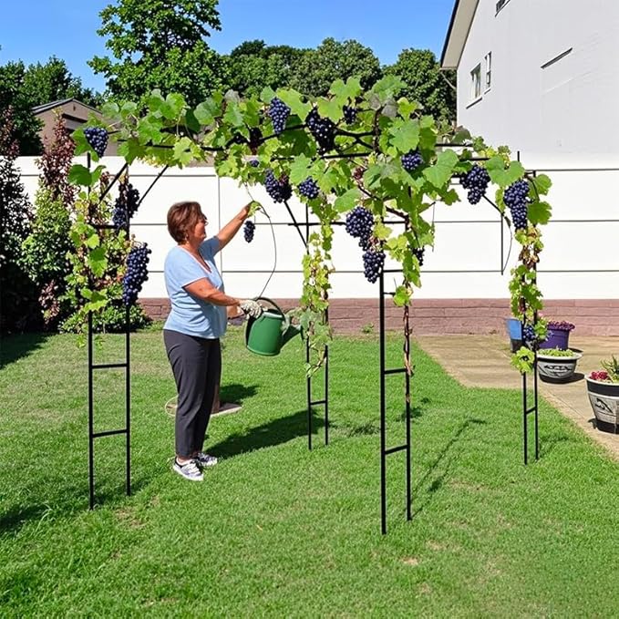 Grape Trellis for Grape Vines Outdoor Large Tall Support Arch Arbor Heavy Duty Garden Trellis for Climbing Plants, Raised Beds, Vineyard Arbors and Arches Courtyard and Decoration of Pavilions