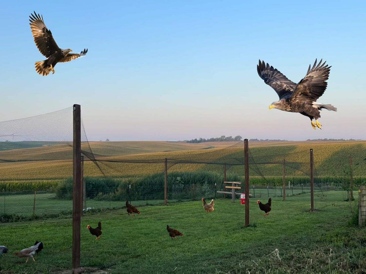 Junflying Bird Netting for Chicken Coop, 1 Inch Mesh 25x100 Ft Strong Woven Poultry Netting for Chicken Run Roof Cover, Against Bird Hawk Small Animals, Protect Strawberry Plant Fruit Tree Vegetable