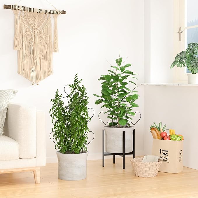 Indoor Plant Trellis for Climbing Plants, Stackable Garden Trellis for Potted Plants, Small House Plant Trellis for Vine Ivy Flower Plant Support Outdoor DIY Metal Trellis 3 Pack, Black