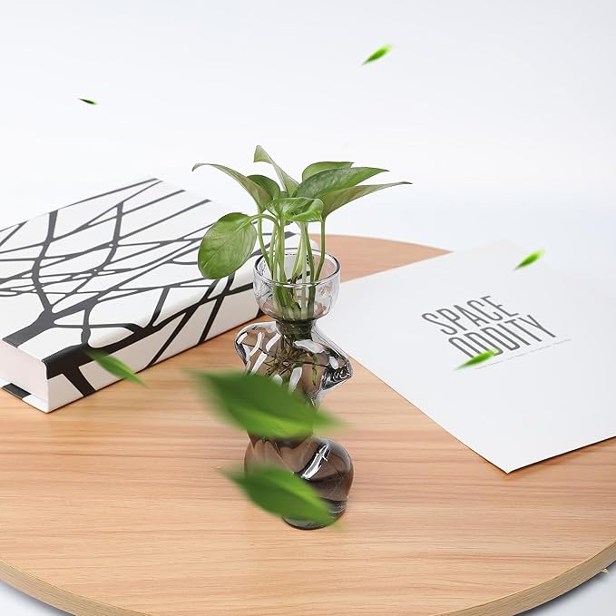 Propagation Vases for Plants Plant Propagation Jars Unique Body Avocado Vase Glass Planter Perfect for Seed Starting Water Rooting and Home Decor Gift for Father