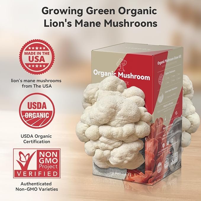 inbloom Double-Side Organic Lion's Mane Mushroom Growing Kit, Non-GMO White Indoor Mushroom Grow Kit (4 lbs), Easy to Use Plump Mushroom Kit Gift for Birthday, USA