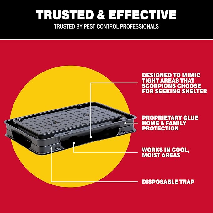 Catchmaster Scorpion Glue Tray Traps 6-Pack, Adhesive Scorpion Killer for Home, Simple Insect Traps Indoor, Sticky Bug Catcher for Kitchen, Garage, & Basement, Pest Control Glue Trap