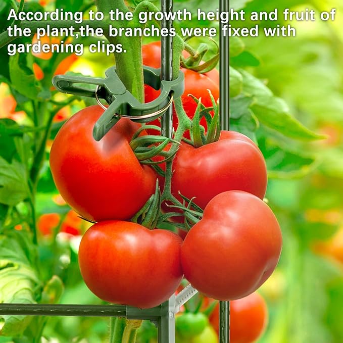 arbxvnrUp to 48.8in Square Tomato cage Garden mesh Plant Support Posts, quadrangular Adjustable Tomato Stand Pot Picking mesh (1pack)