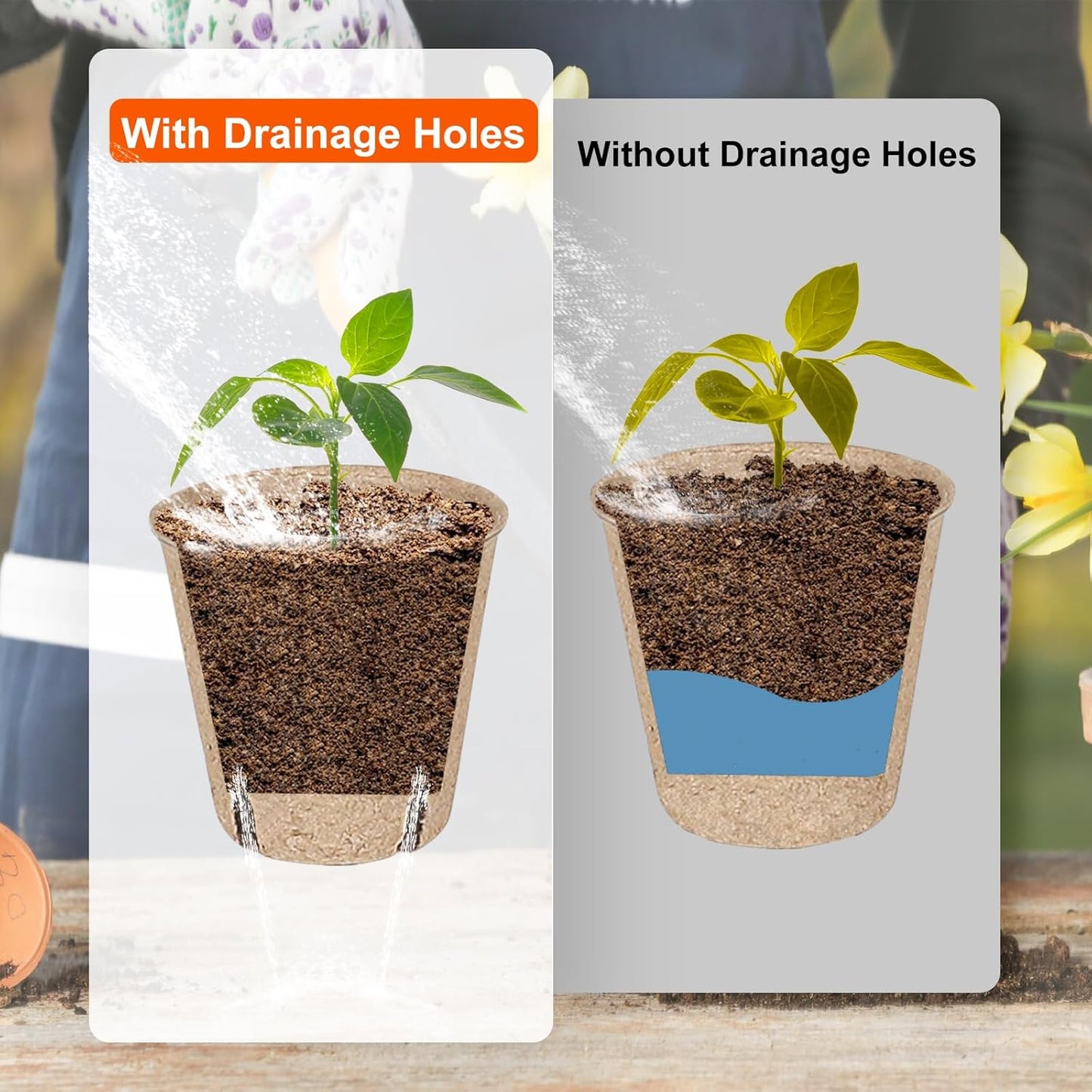 60 Packs 3.15 Inch Peat Pots,Biodegradable Pots for Seedlings with Drainage Holes, Garden Germination Nursery Pots with 50Pcs Plant Labels