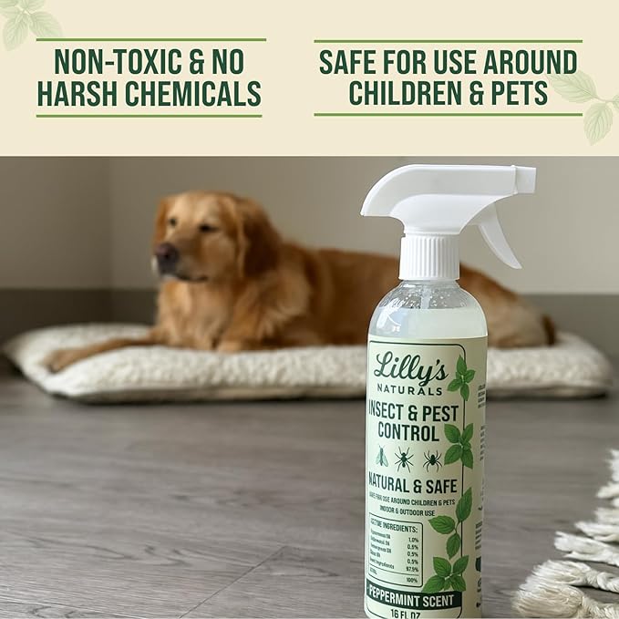 Peppermint Oil Spray for Bugs | Insect Repellent for Indoor & Outdoor Pest Control | Bug, Spider, Rodent, Ant Killer | Natural Plant-Based Pet Friendly Bug Repellent | Lilly's Naturals, 16 oz