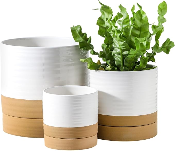 Hasense Pots for Plants, 8+6+4.6 Inch Ceramic Plant Pots Indoors with Drainage Hole and Tray, White Planters Set for Outdoor Indoor Plants, Farmhouse Home and Office Decor, Set of 3