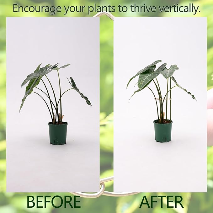 5.5 * 4.7IN Monstera Stem Support Stake with Clips - 5Pcs Durable Climbing Plant Support for Monstera, Fishbone Cactus, Easy Installation, for Plant Lovers
