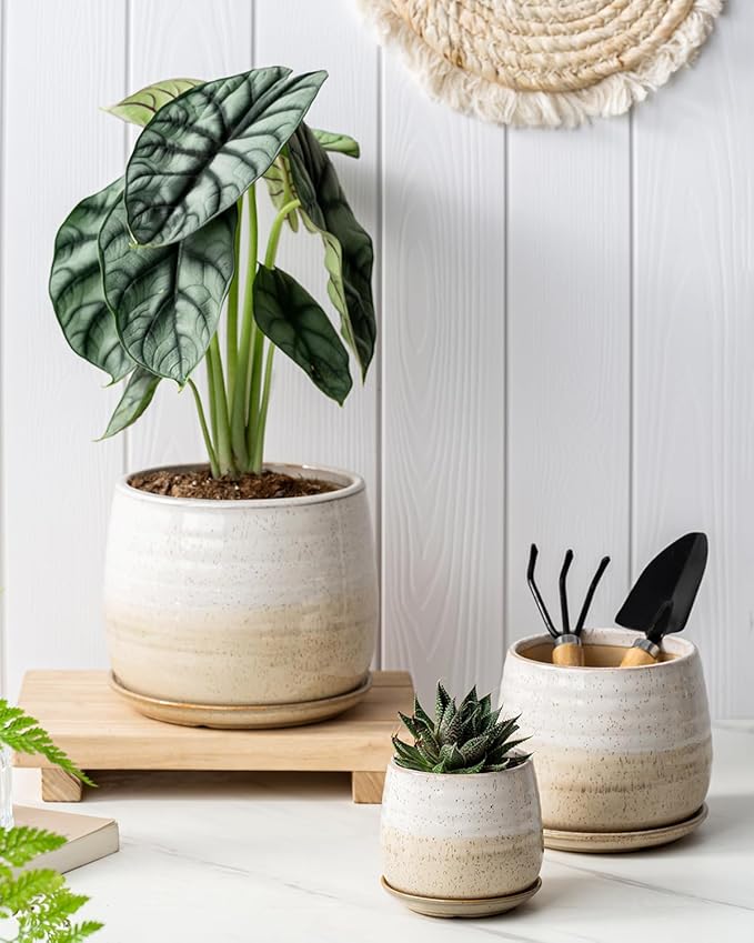 3 Pack Ceramic Small Plant Pots Planters for Indoor Flowers Plants with Drainage Holes & Saucer, Cactus Succulent, Home Decor, 3.4+4.7+6.1 Inch Flower Pot Set of 3, White