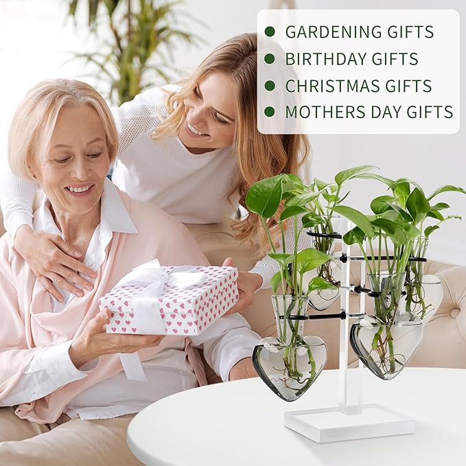 Plants Propagation Stations Plant Terrarium Kit Gift for Women Birthday Glass Planters for Indoor Plants Home Office Decor Acrylic Plant Accessories - 4 Love Hear Vase