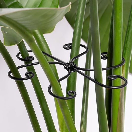 Black Monstera Plant Support 5.5IN 5PCS Premium Stem Support System for Indoor Plants, Durable Stabilizer for Monstera and Climbing Plants, Easy Installation Leaf Holder, Fishbone Cactus Stake
