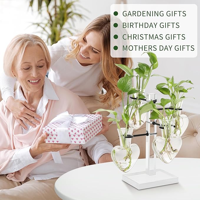 Plants Propagation Stations Plant Terrarium Kit Gift for Women Birthday Glass Planters for Indoor Plants Home Office Decor Acrylic Plant Accessories - 4 Love Hear Vase
